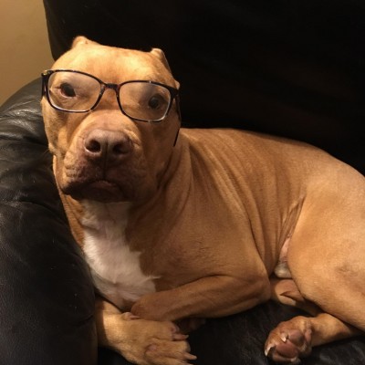 Andreas Lezis&thinsp;