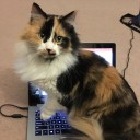 Josephine Dru&thinsp;