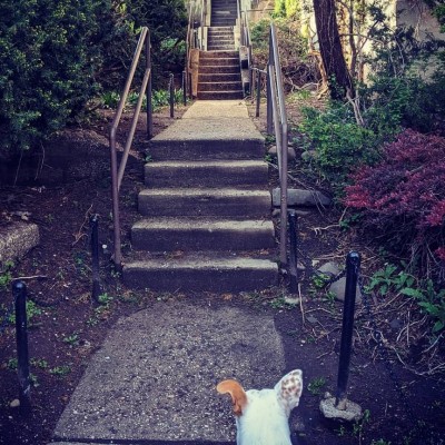 Rachel Thurston&thinsp;