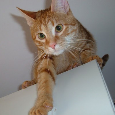 Kristina Victoreen&thinsp;